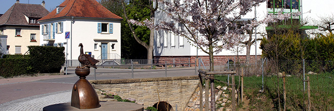 Schatthausen sehen, hören und genießen